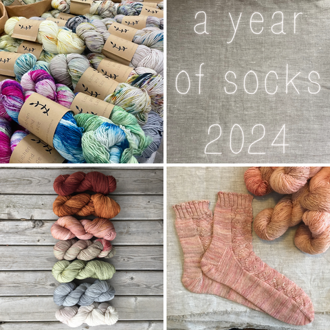 a year of socks