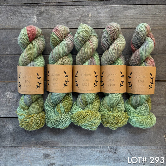 lot 293