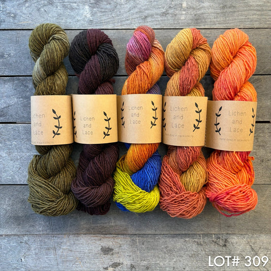 lot 309