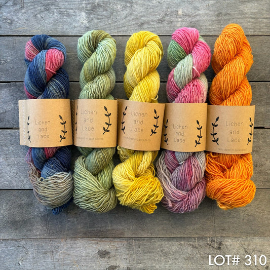 lot 310