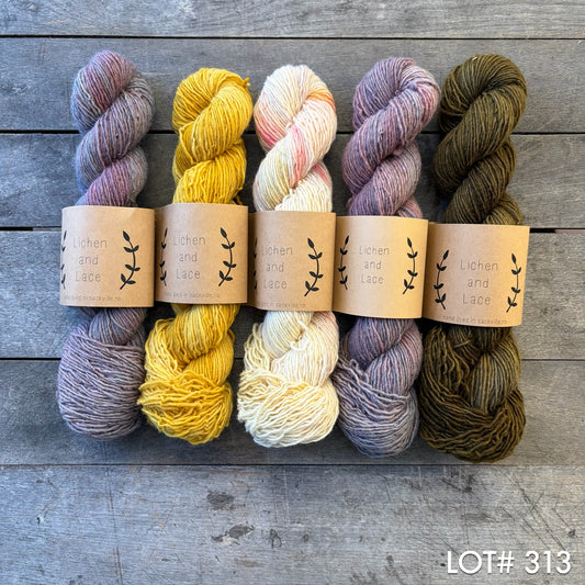 lot 313