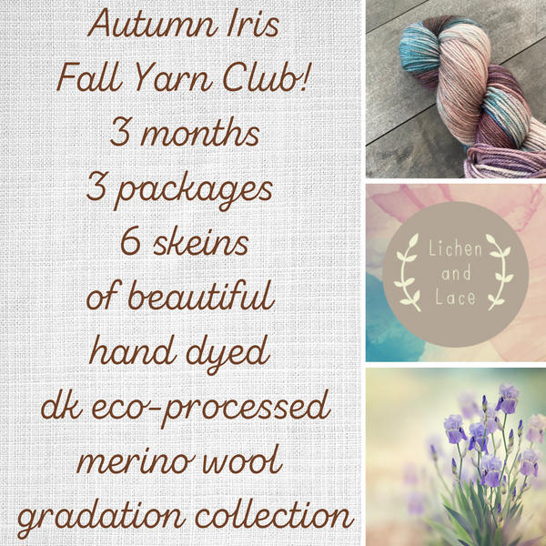 fall yarn club